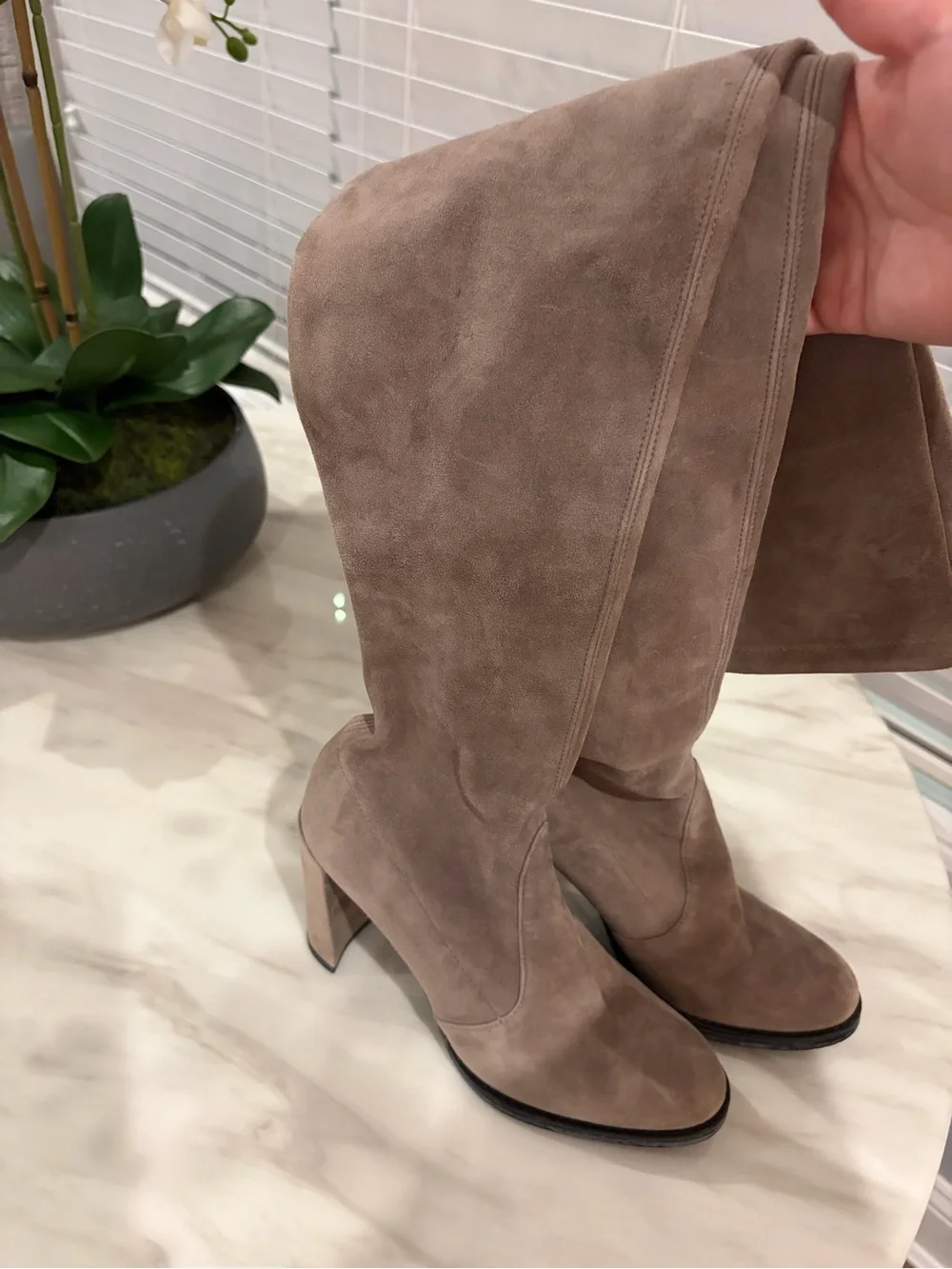Stuart Weitzman Over-the-Knee Suede Boots in Taupe